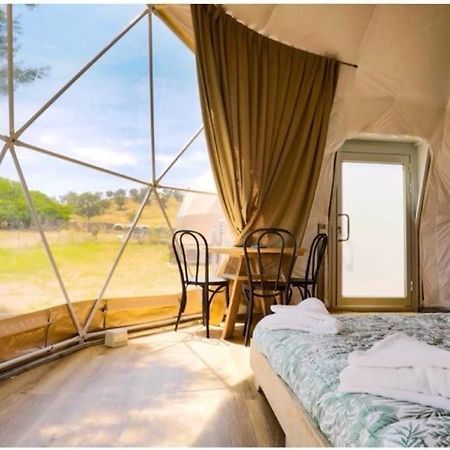 Caravans Park & Glamping Tents In The Vineyard Villa Turda Buitenkant foto