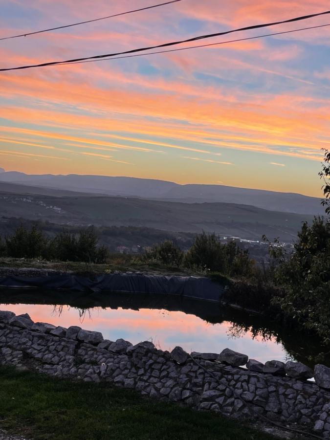 Caravans Park & Glamping Tents In The Vineyard Villa Turda Buitenkant foto