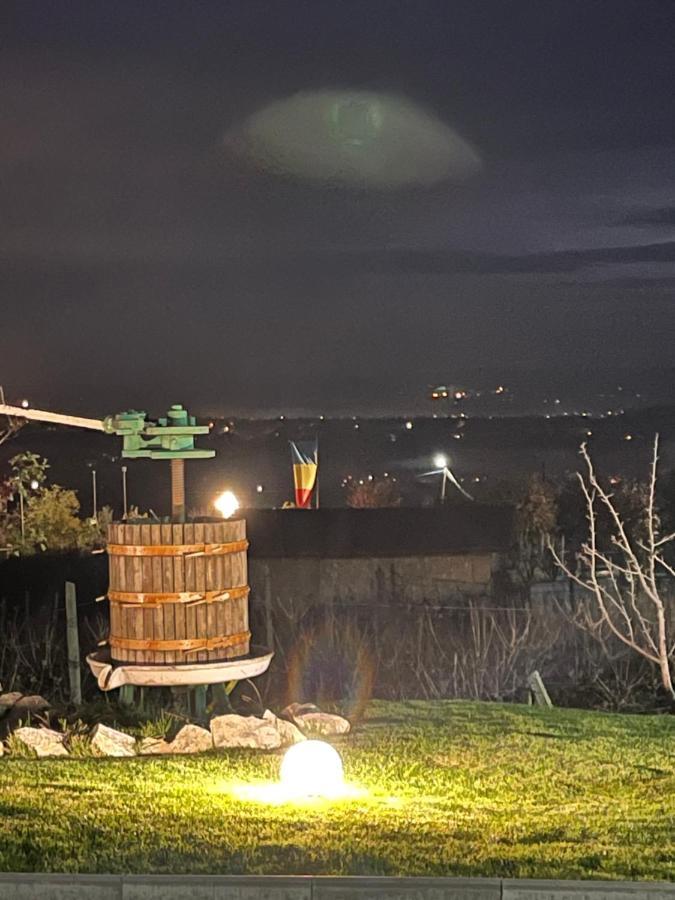Caravans Park & Glamping Tents In The Vineyard Villa Turda Buitenkant foto