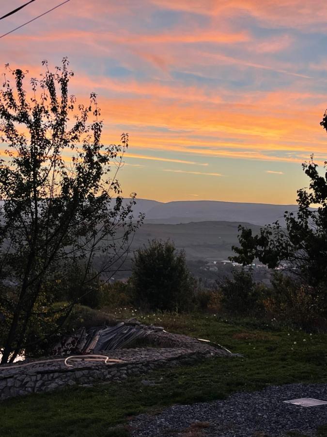 Caravans Park & Glamping Tents In The Vineyard Villa Turda Buitenkant foto